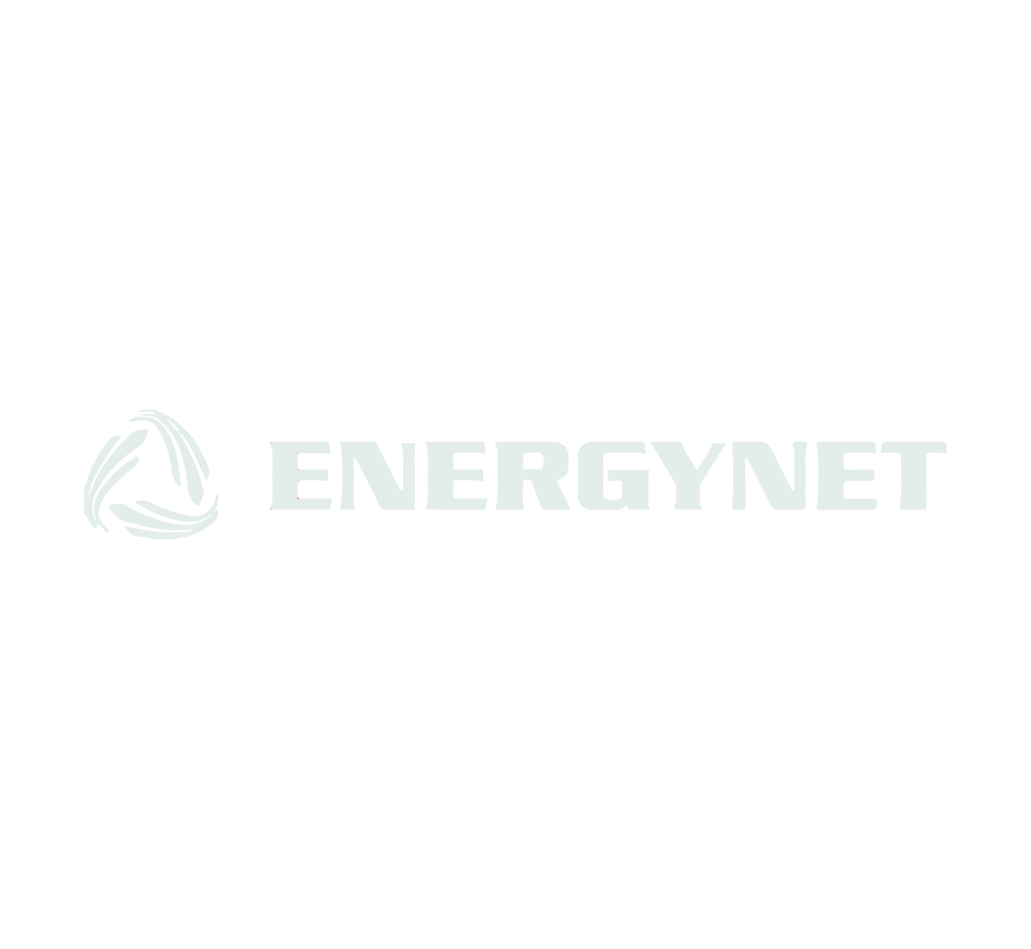 Energy Net
